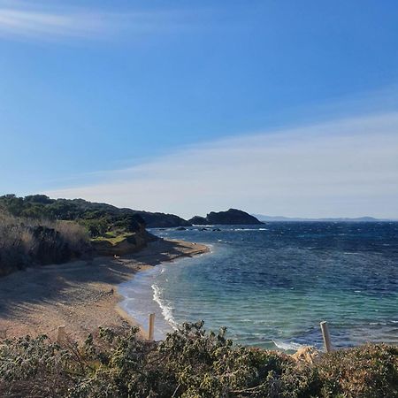 Appartement T2 - Hyeres Gare Esterno foto